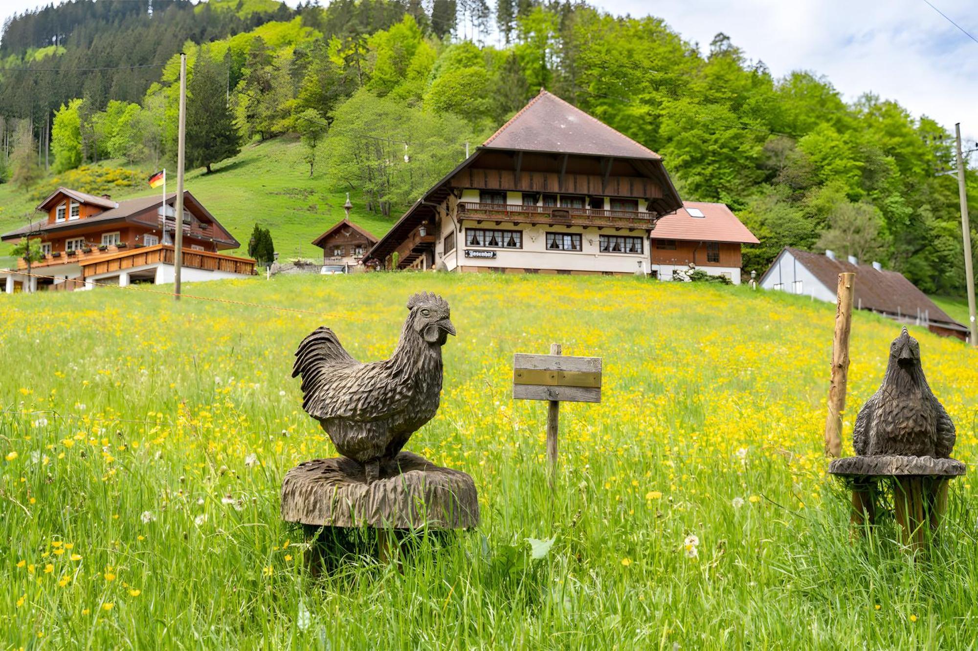 Josenhof Hotel Wolfach Buitenkant foto